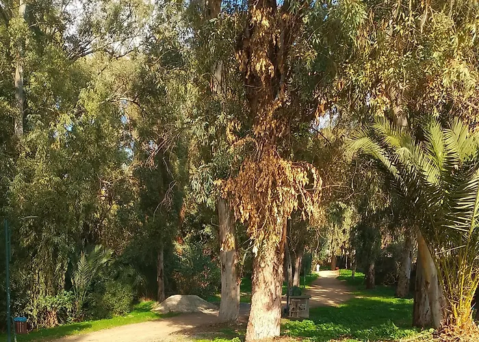 Alfarome60 Apartment Nicosia