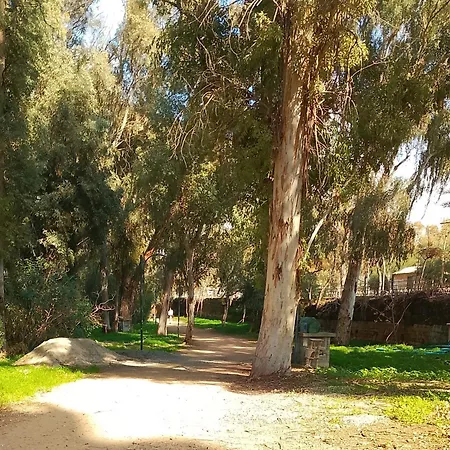 Apartman Alfarome60 *