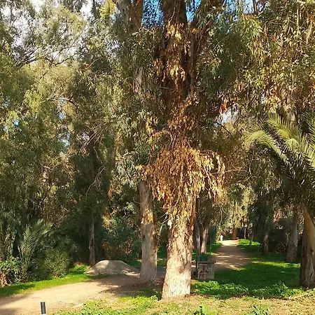 Alfarome60 Apartman Nicosia